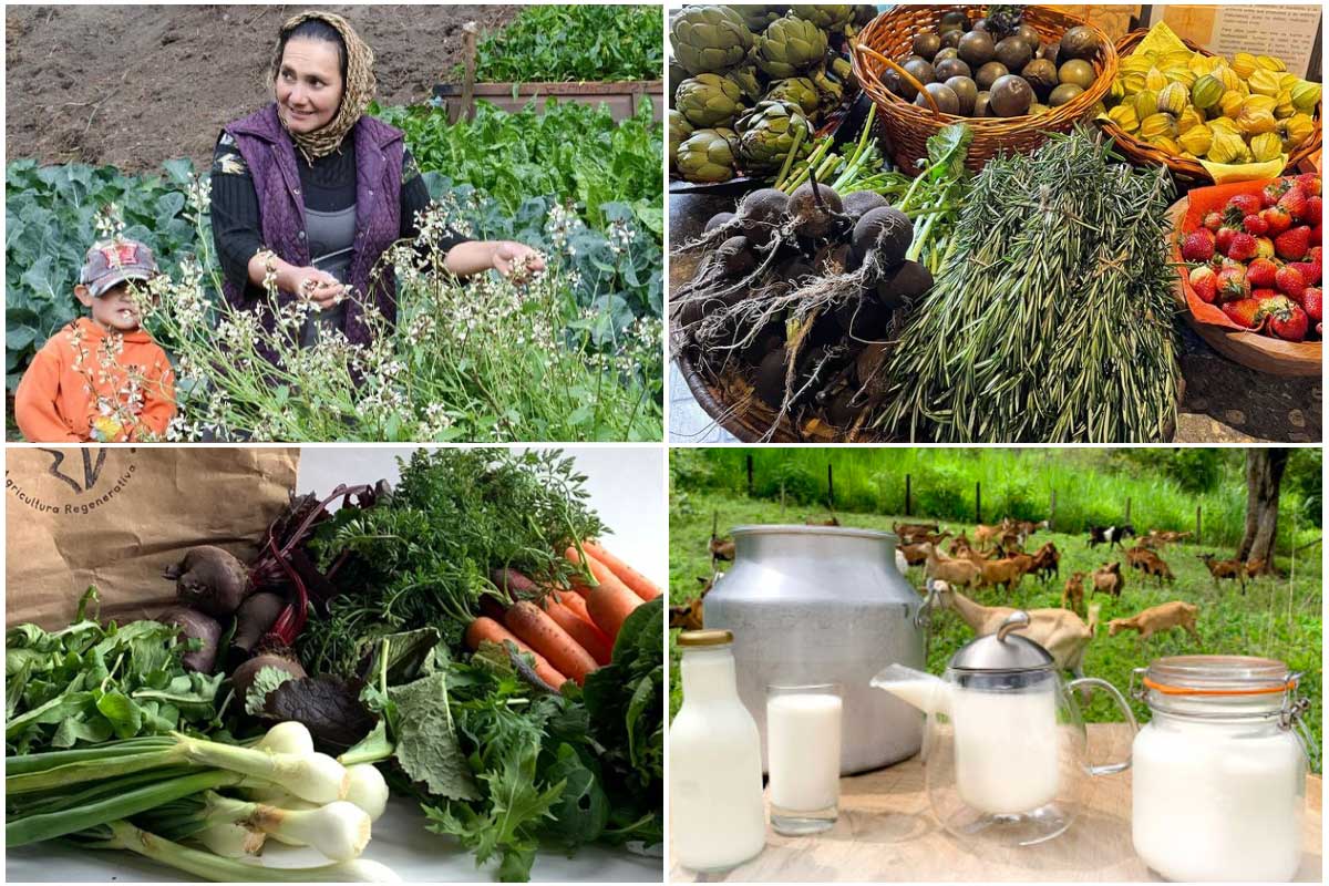 Cuatro proveedores orgánicos de lácteos, frutas y verduras que debe conocer