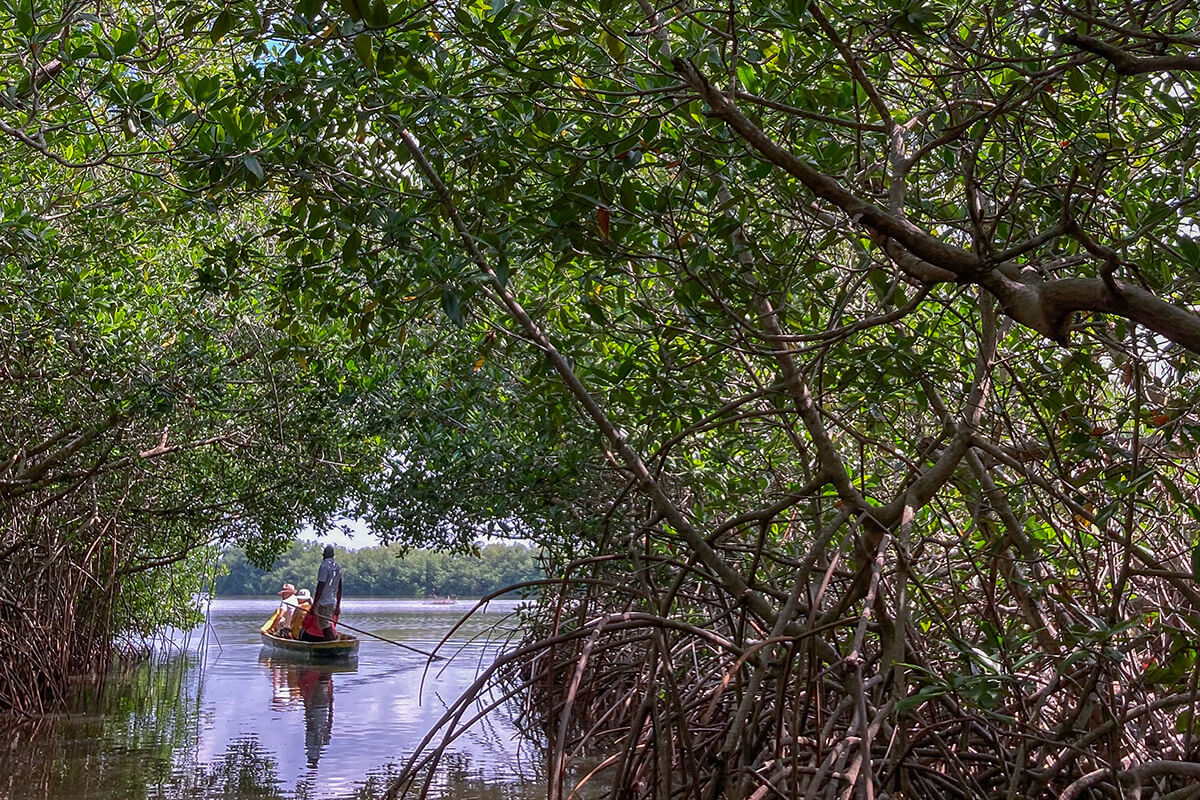Entre manglares, un viaje a la Cartagena macondiana