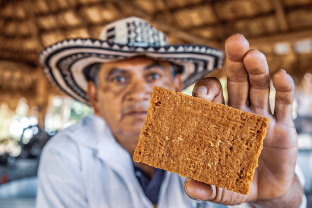 panela