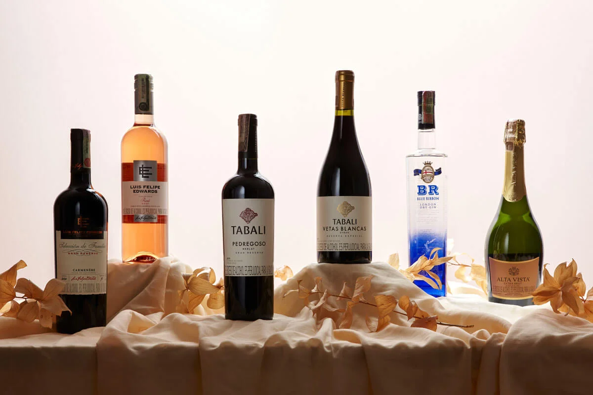 6 vinos chilenos y argentinos para cada ocasión