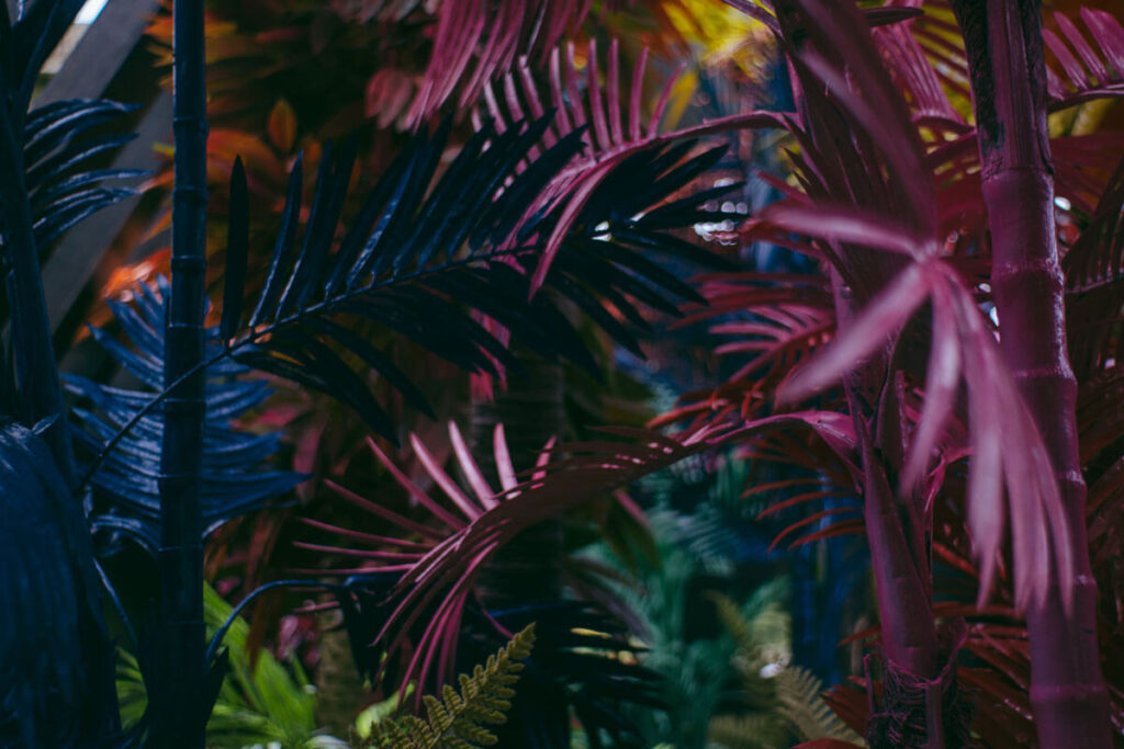 selva del Amazonas