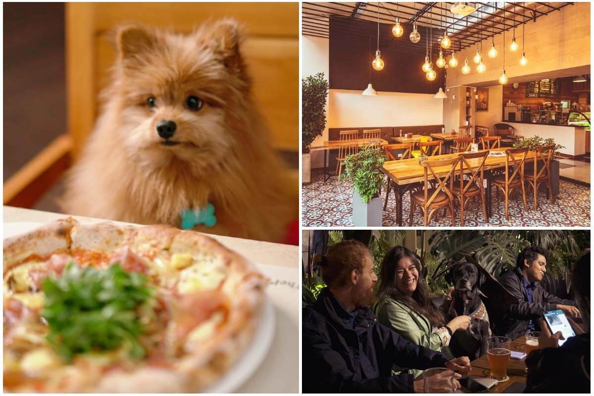 Estos son los verdaderos restaurantes pet friendly de Bogotá