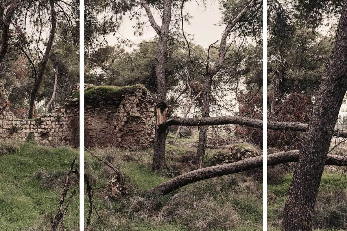 La historia detrás de ‘Catástrofe’, exposición del artista Dor Guez en el MAMBO