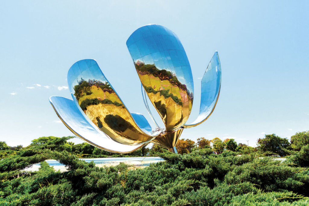 Floralis generica