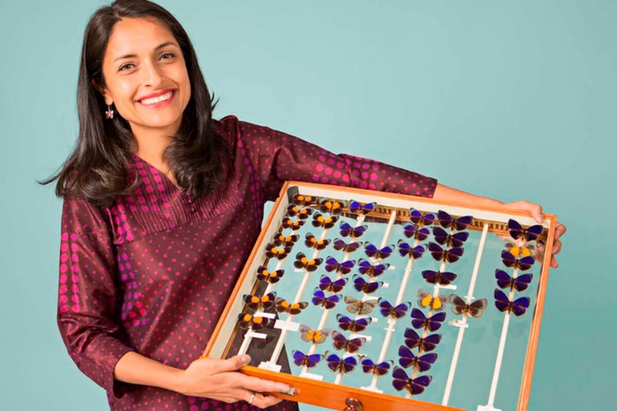 La colombiana que custodia la colección más grande de mariposas del mundo