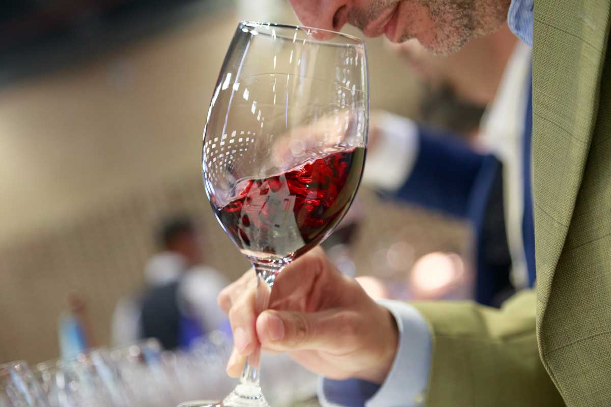¿Cuáles son los vinos ganadores de Expovinos 2022?