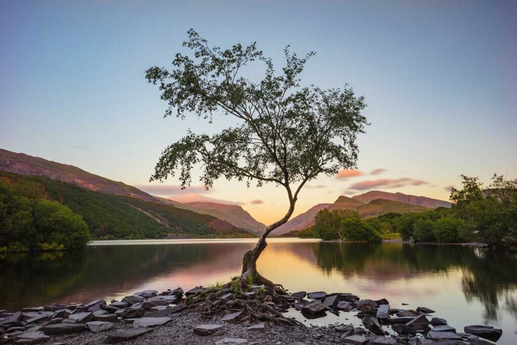 Snowdonia Gales