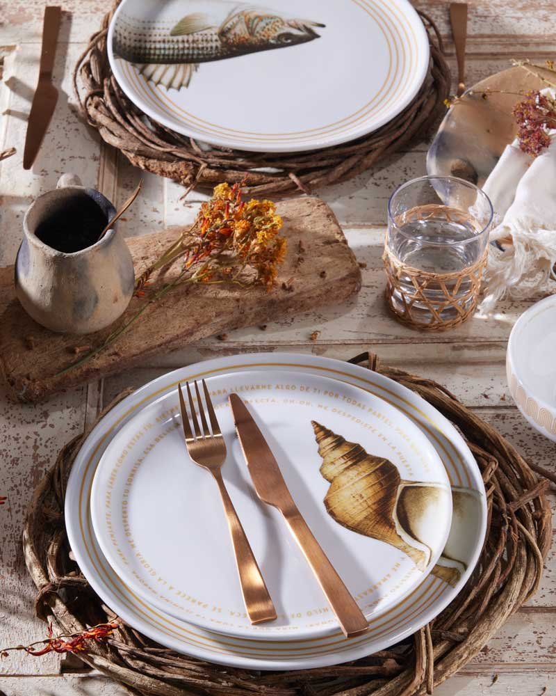 Vajilla Cumbiana Carlos Vives