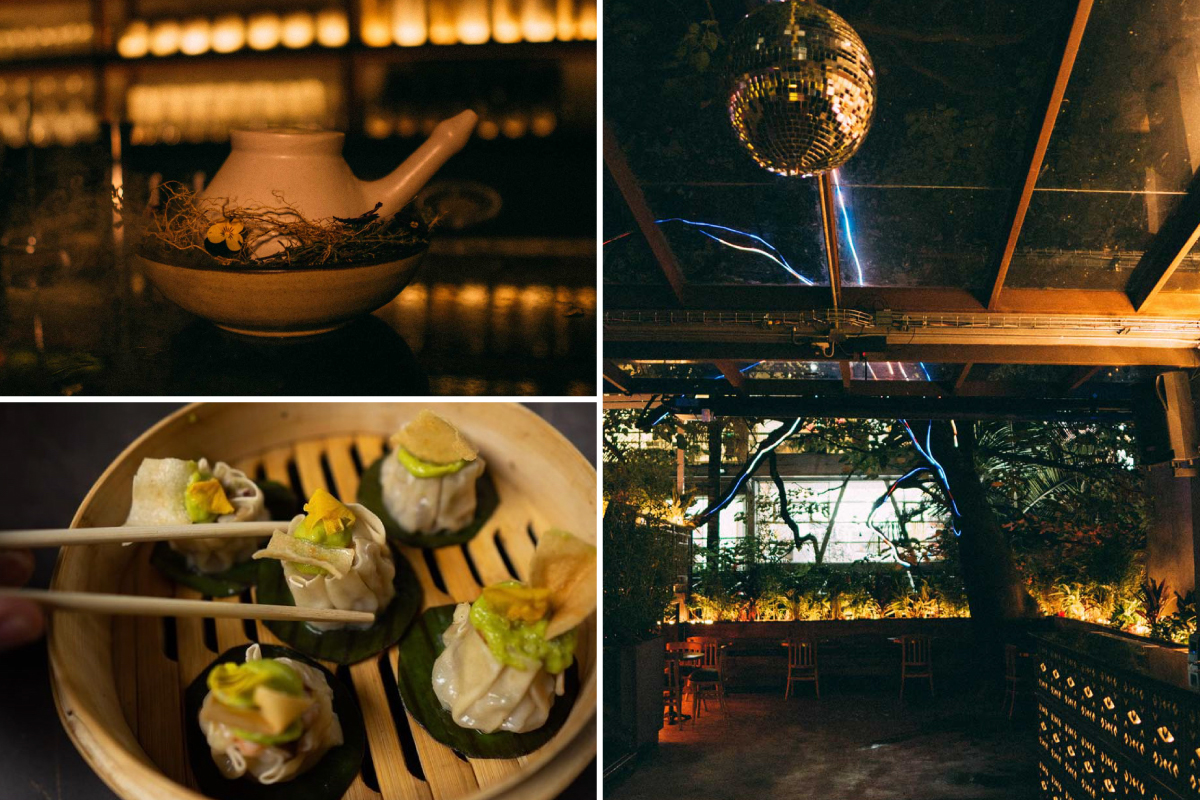 Egua, el nuevo gastrobar en Bogotá atravesado por un árbol que sangra