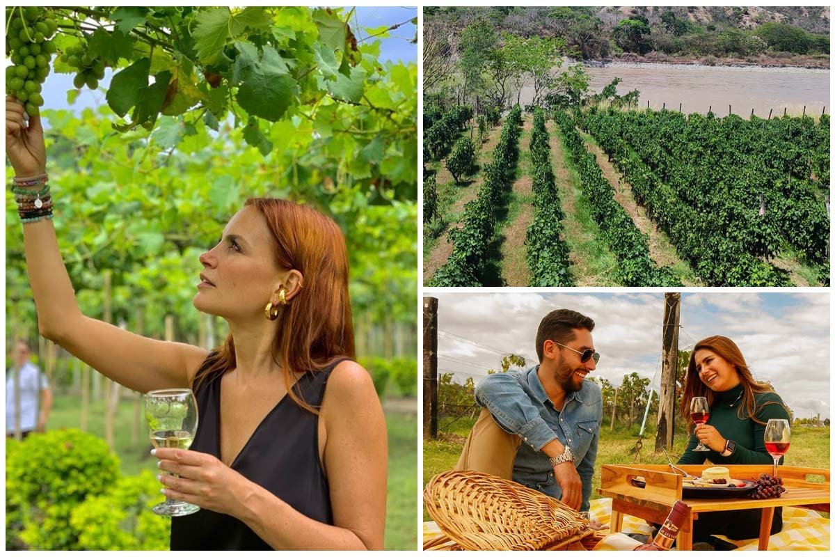 Tres destinos en Colombia para disfrutar del vino nacional