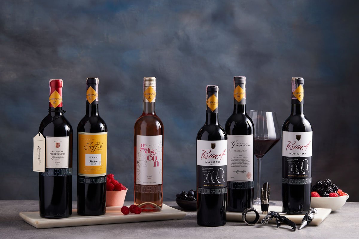 Pruebe estos seis vinos recomendados de Mendoza, Argentina