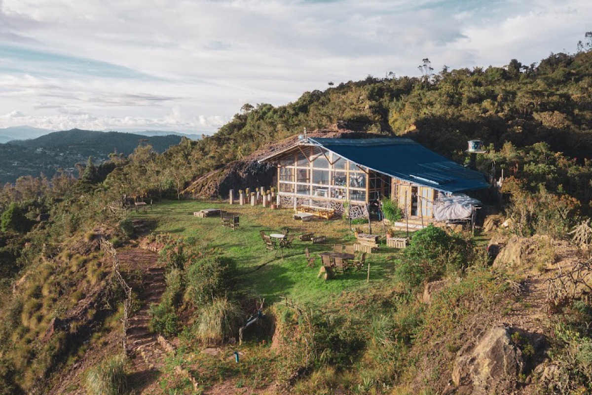 Así es un baño de bosque, la tendencia de bienestar que llegó a Bogotá