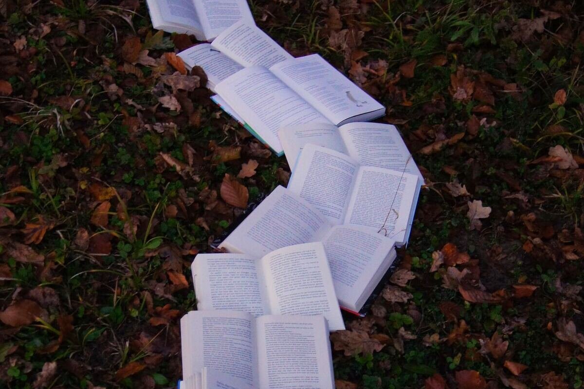 El mapa con los libros mejor valorados de autores locales del mundo