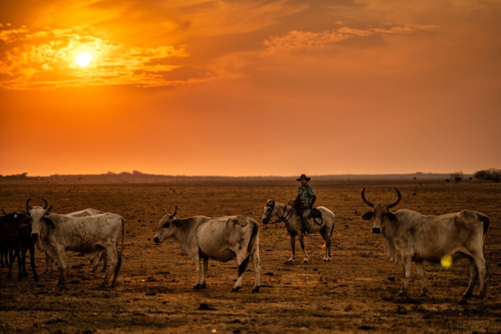 Casanare Esteban toro