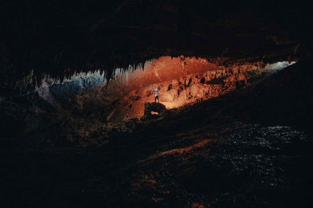 Bosques de Pandora, en El Peñon, Santander.