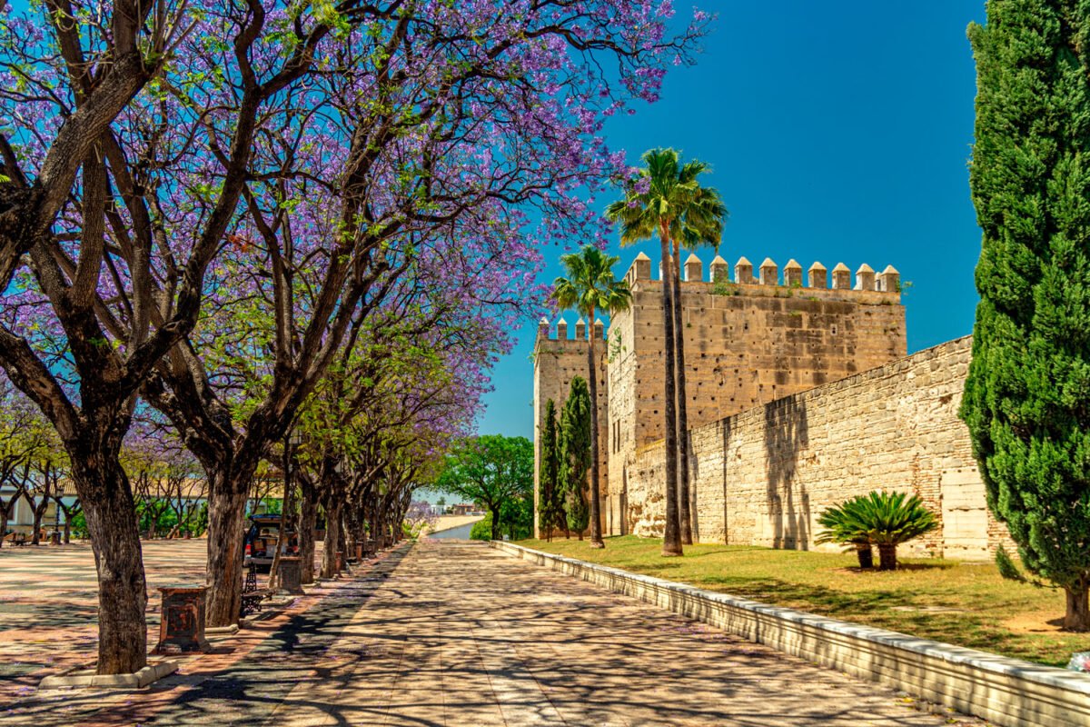 Conozca Jerez de la Frontera, un destino inolvidable en España