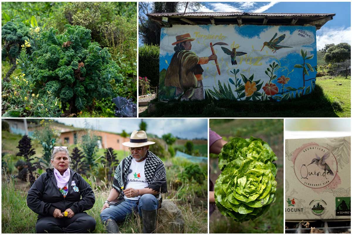 Granja Tibares: cosechando paz en la localidad de Usme