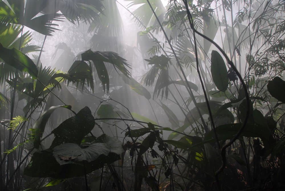 Recorrido por la Reserva Natural Calanoa / Cortesía Hotel Calanoa (fotografías de Diego Samper y Elvis Cueva Márquez).
