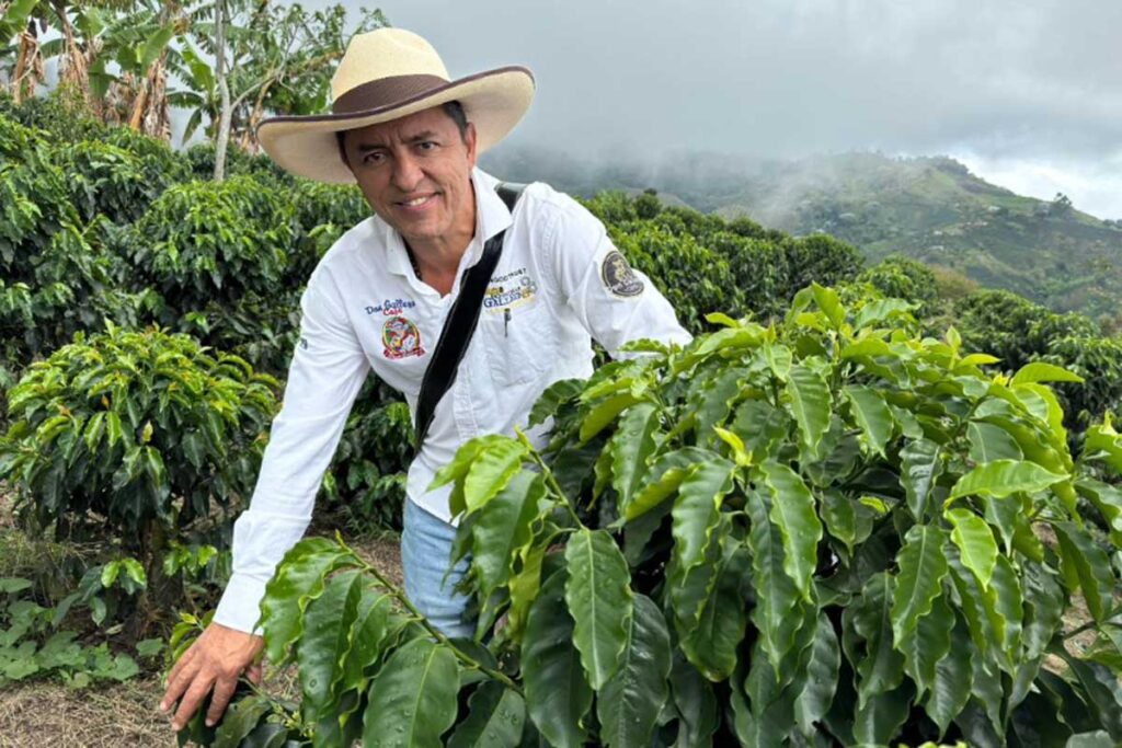 Café colombiano