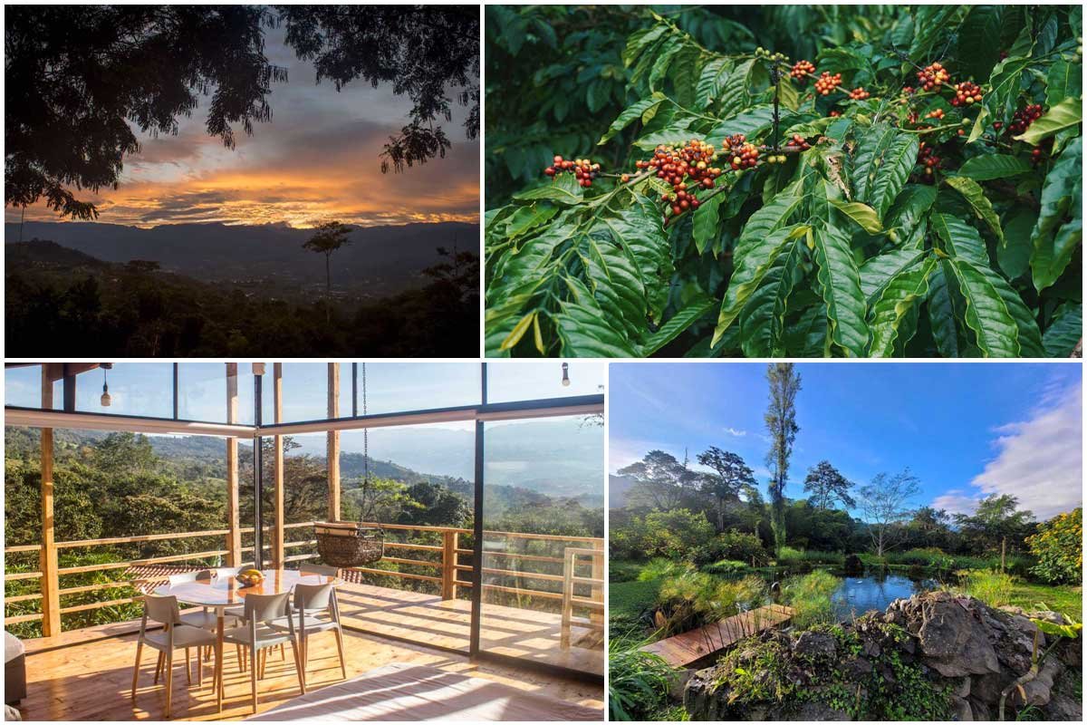 ¿Qué hacer en Silvania? Cinco planes para toda la familia