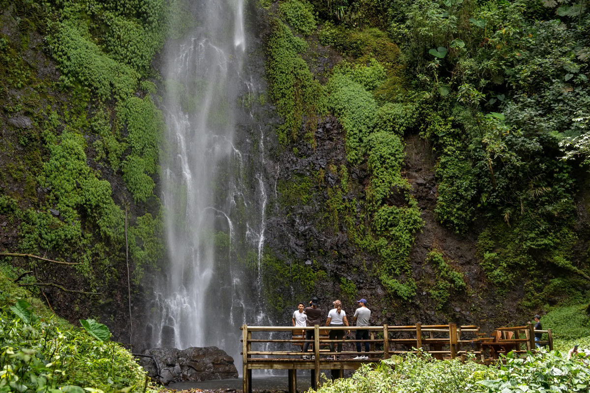 Cinco planes para conectar con la naturaleza cerca de Pereira