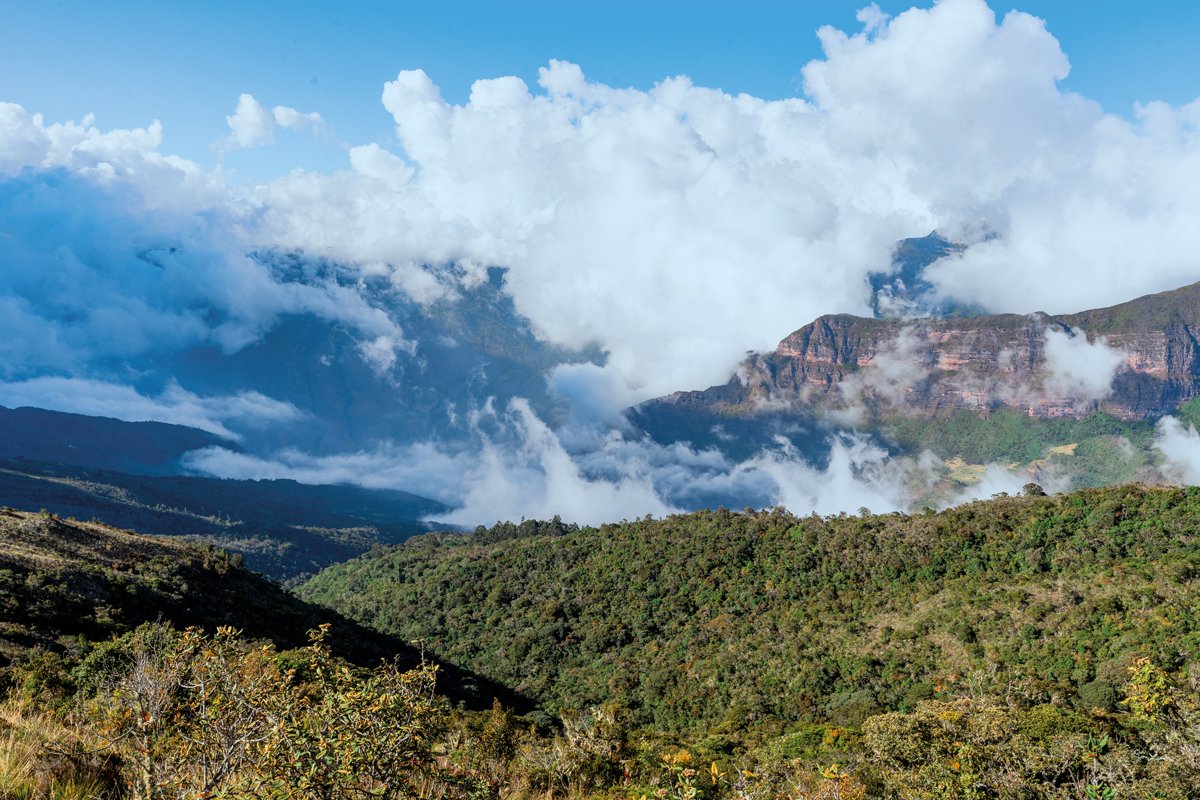 Entre aves, frailejones e historias: la magia oculta de la Serranía del Perijá