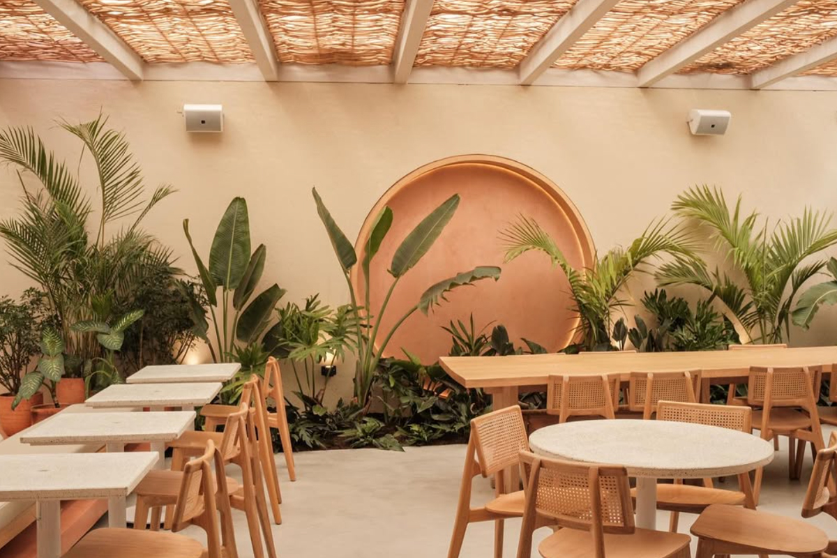 Tropicália Coffee: Entre las 100 mejores tiendas de café del mundo