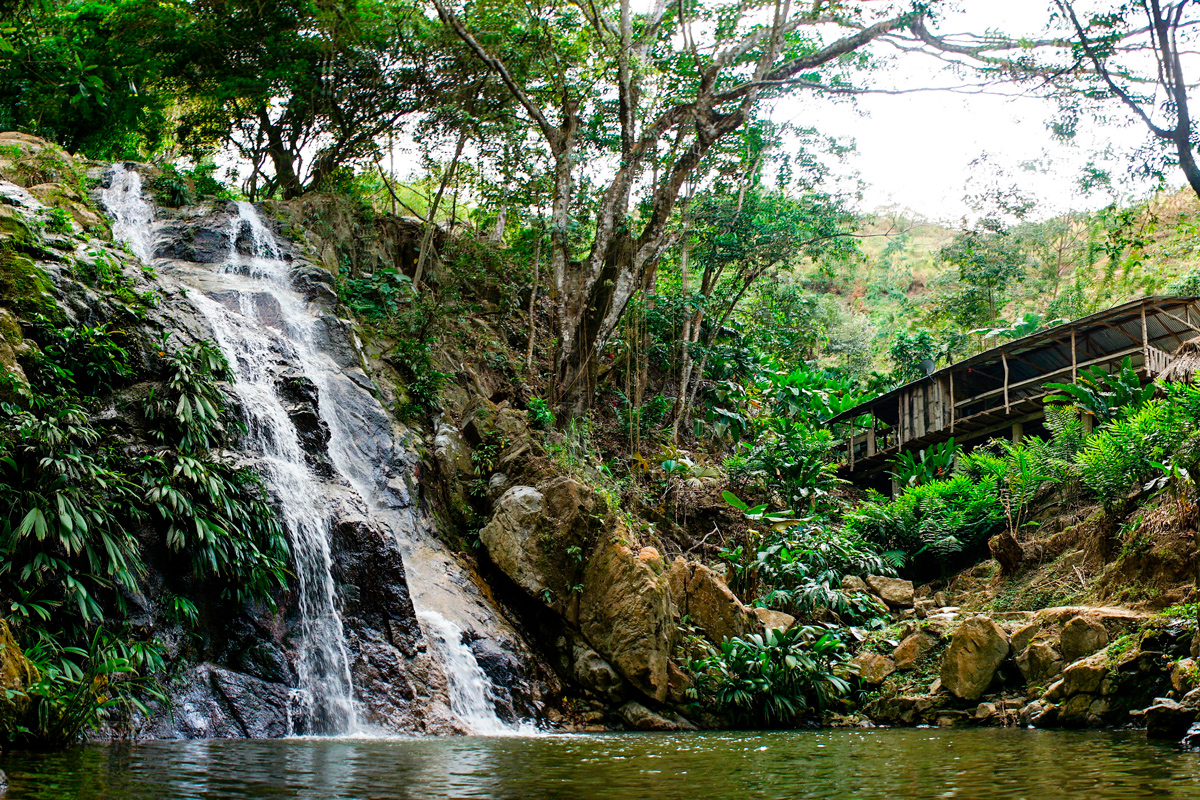 Minca, el refugio natural que sorprende cerca de Santa Marta