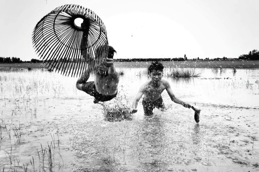Fotografías de comida