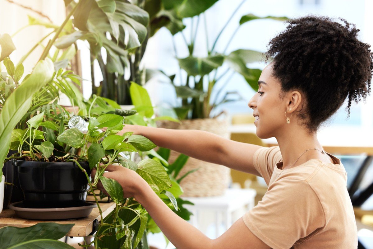 Las 5 plantas de casa más fáciles de cuidar