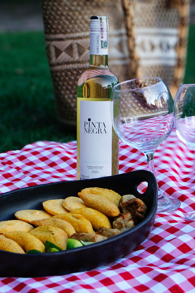 empanada y vino, maridaje